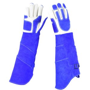 Anti-scratch-gloves.jpg