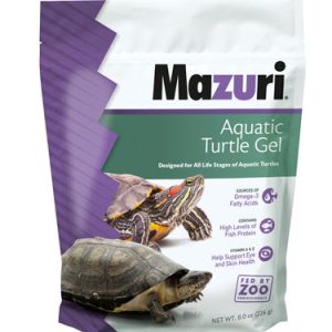 Aquatic-Turtle-8oz-center-1_c7900ab8-6ba2-4677-8eb0-d6cdcfa1fc8b-1.jpg