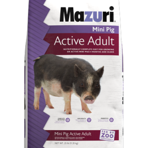 MiniPig_ActiveAdult_25lb_Front-1.png