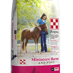 Miniature-Horse-Pony-Package_rs_1-1.png