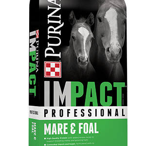 Product_Horse_IMPACT-Pro-Mare-Foal-1.png