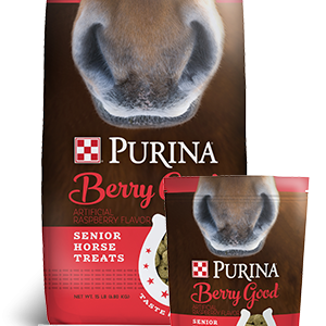 Product_Horse_Purina_Berry-Good-Treat_Bags-1.png