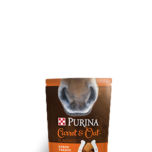 Product_Horse_Purina_Carrot-Oat-Treat-Bag-1.png