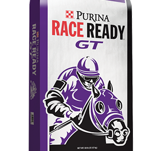 Products_Horse_Race-Ready-GT-1.png