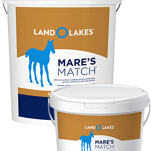 Products_LOLAMS_Mares-Match-Foal-Milk-Replacer_8lb-20lb-pail-1.png