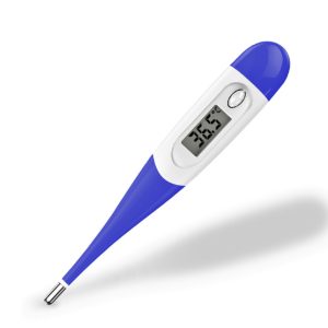 Thermomter.jpg