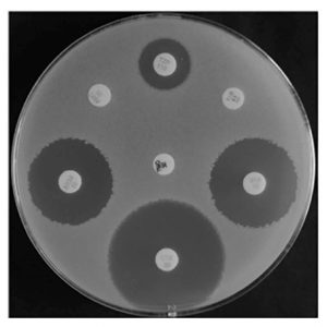 antibiyogram-seti-140.jpg