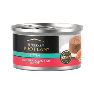 pro-plan-kitten-salmon-ocean-fish-wet-cat-food.png-1.webp